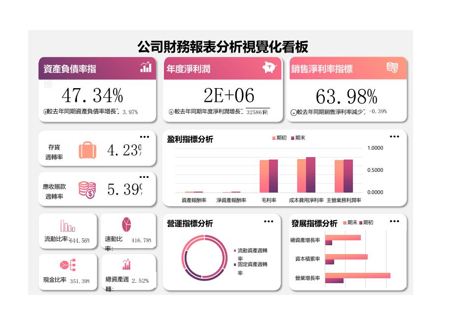 財務報表指標分析動態視覺化看板 預覽