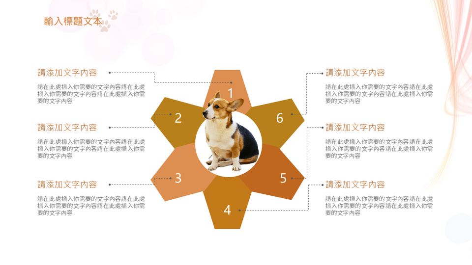 福樂寵 狗狗寵物模板 第 12 頁